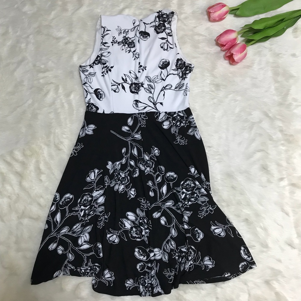 DM Collection Stitch Fix Shannan Knit Dress NWOT - Picture 3 of 8